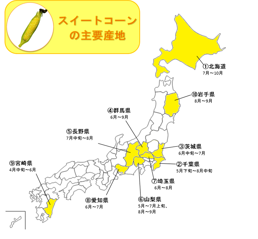 http://vegetan.alic.go.jp/ippan/18yasaimap/shuyousanti/sweetcorn/image10.jpg