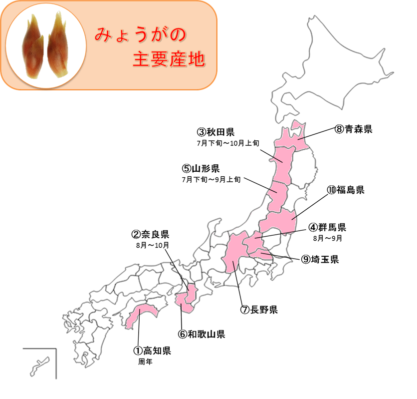 ve_2281_middle