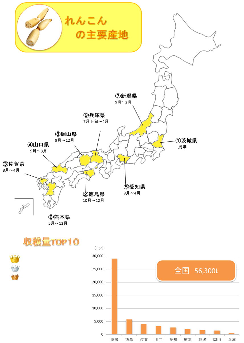 http://r03.isearch.c.yimg.jp/image?id=f43c684cf67fdc0a6284026193d40293,�N���b�N����ƐV�����E�B���h�E�ŊJ���܂�,http://r02.isearch.c.yimg.jp/image?id=c85d09e26c43f6c632df33ca49cbdddf,http://vegetan.alic.go.jp/ippan/18yasaimap/shuyousanti/renkon/image.jpg