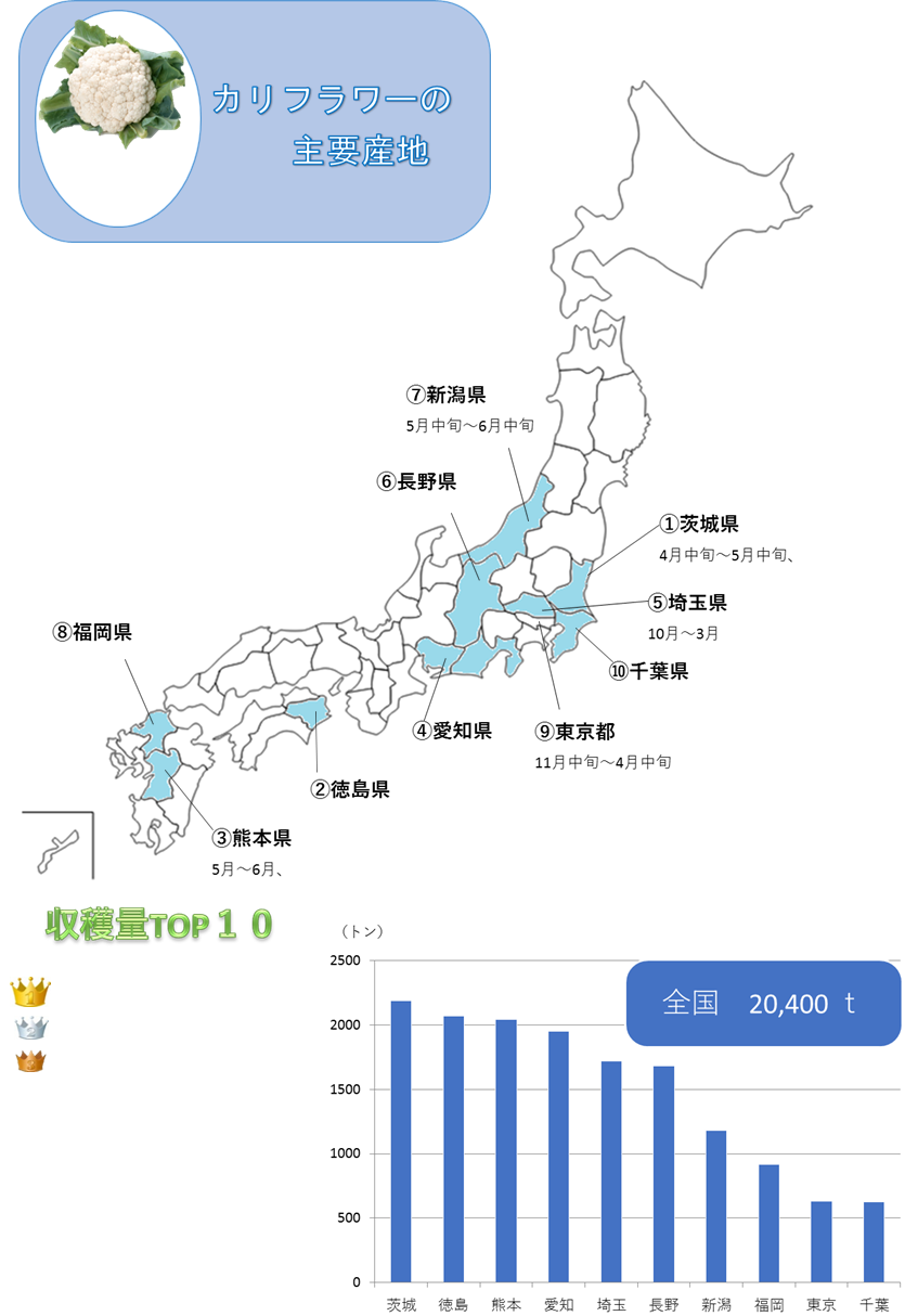 http://r03.isearch.c.yimg.jp/image?id=f43c684cf67fdc0a6284026193d40293,�N���b�N����ƐV�����E�B���h�E�ŊJ���܂�,http://r02.isearch.c.yimg.jp/image?id=c85d09e26c43f6c632df33ca49cbdddf,http://vegetan.alic.go.jp/ippan/18yasaimap/shuyousanti/cauliflower/image247.gif
