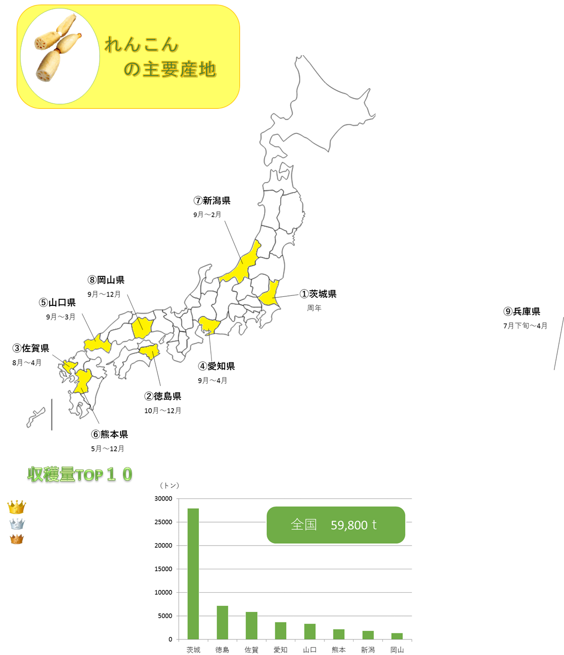 http://r03.isearch.c.yimg.jp/image?id=f43c684cf67fdc0a6284026193d40293,�N���b�N����ƐV�����E�B���h�E�ŊJ���܂�,http://r02.isearch.c.yimg.jp/image?id=c85d09e26c43f6c632df33ca49cbdddf,http://vegetan.alic.go.jp/ippan/18yasaimap/shuyousanti/renkon/image.jpg