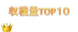 http://r03.isearch.c.yimg.jp/image?id=f43c684cf67fdc0a6284026193d40293