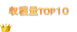 http://r03.isearch.c.yimg.jp/image?id=f43c684cf67fdc0a6284026193d40293