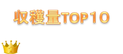 http://r03.isearch.c.yimg.jp/image?id=f43c684cf67fdc0a6284026193d40293