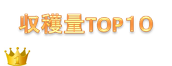 http://r03.isearch.c.yimg.jp/image?id=f43c684cf67fdc0a6284026193d40293