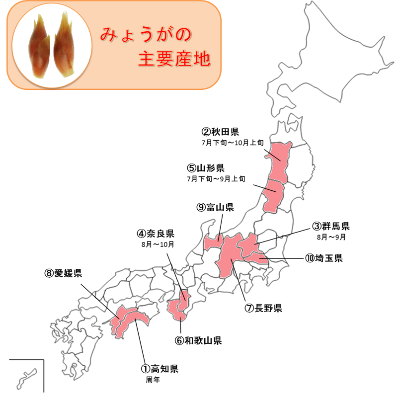ve_2281_middle