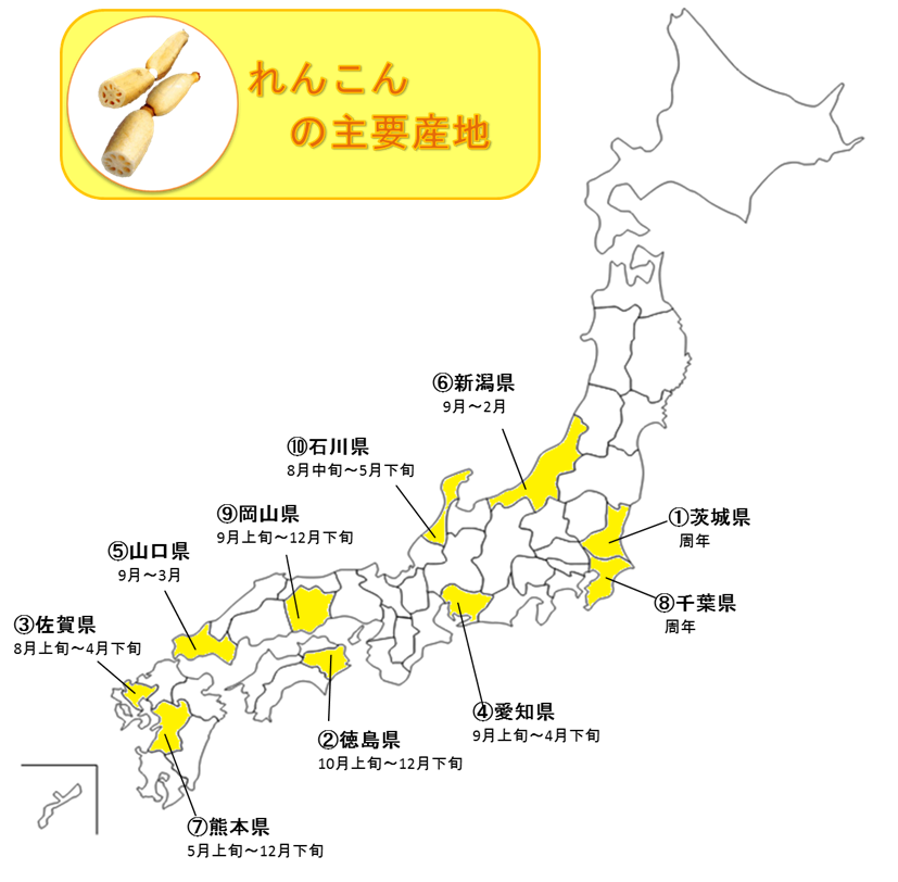 http://vegetan.alic.go.jp/ippan/18yasaimap/shuyousanti/renkon/image.jpg