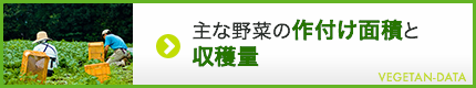 主な野菜の作付面積と収穫量