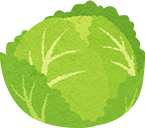 キャベツ