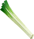 ねぎ