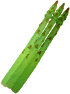 アスパラガス