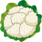 カリフラワー