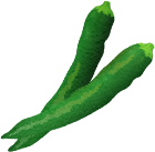 ししとうがらし