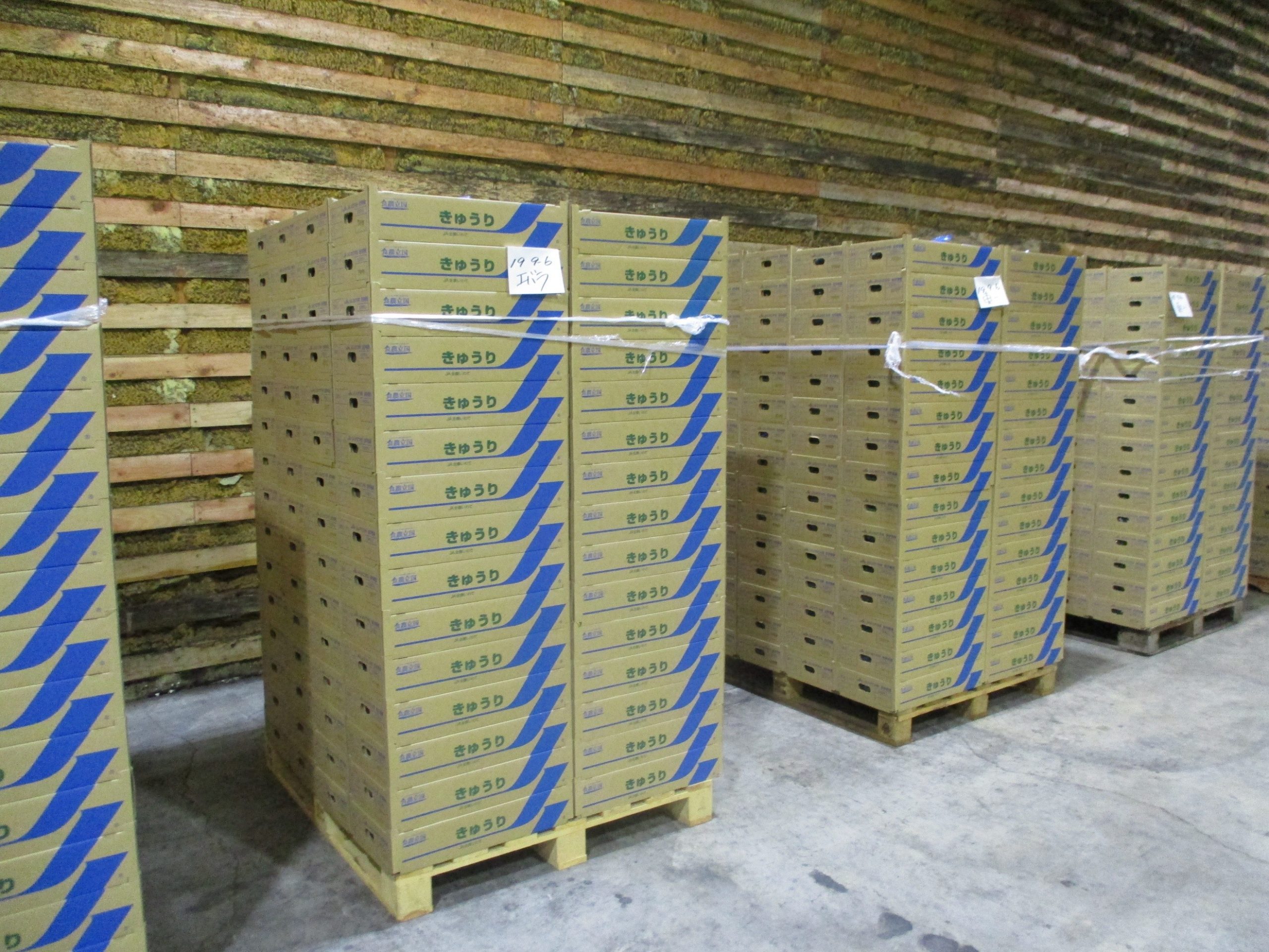 岩手県(夏秋きゅうり)