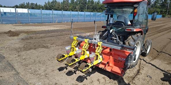 福井県(秋冬だいこん)