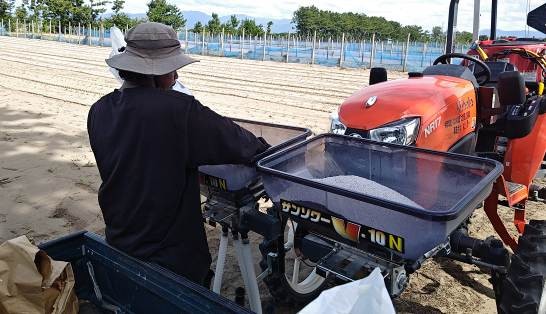 福井県(秋冬だいこん)