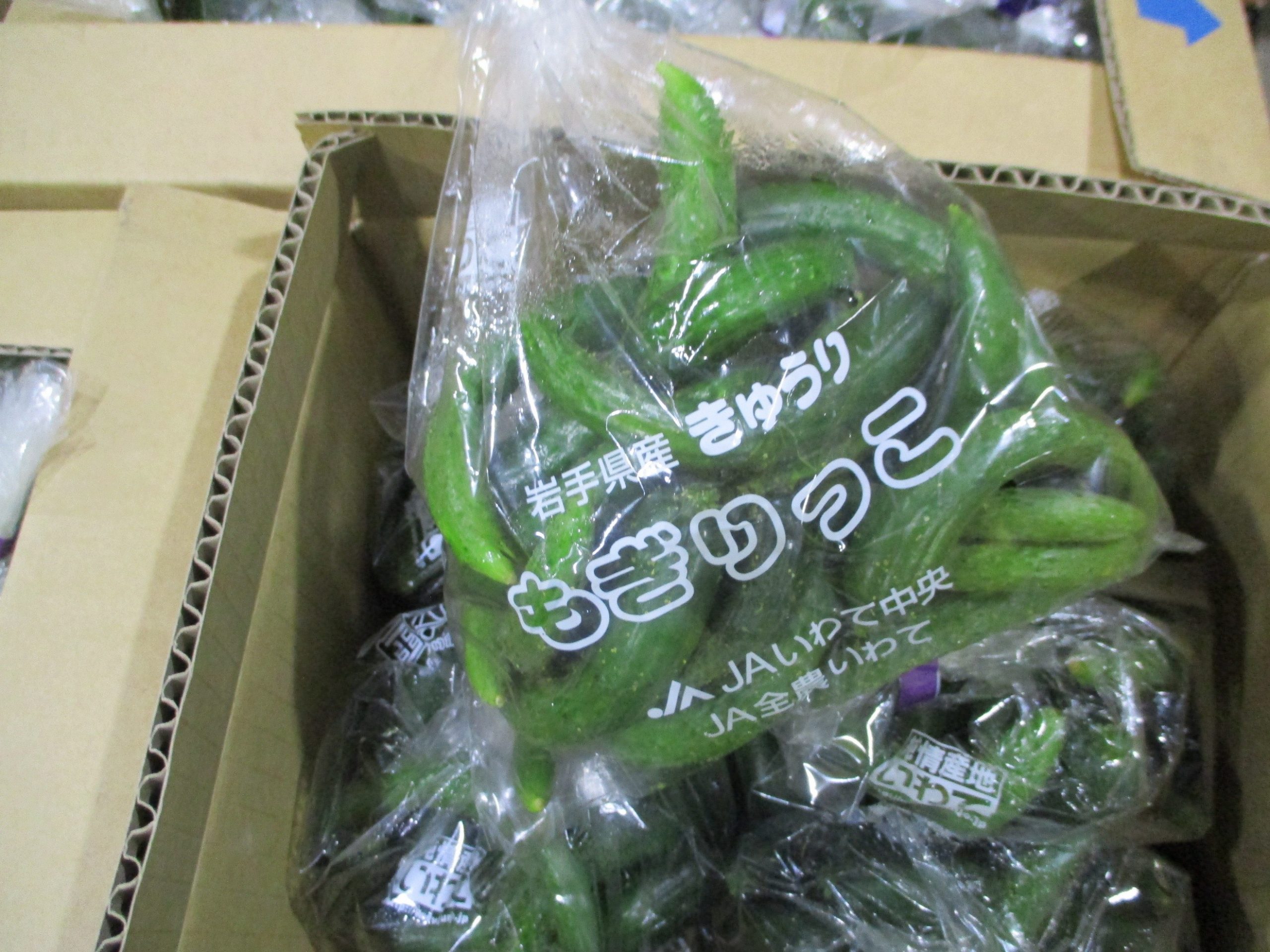 岩手県(夏秋きゅうり)