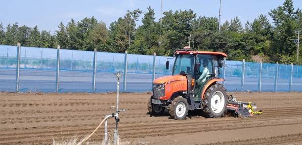 福井県(秋冬だいこん)
