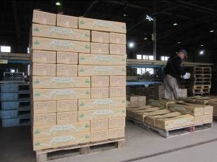 鳥取県(秋冬ねぎ)