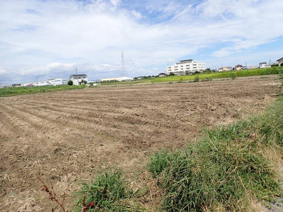 静岡県(冬ブロッコリー)