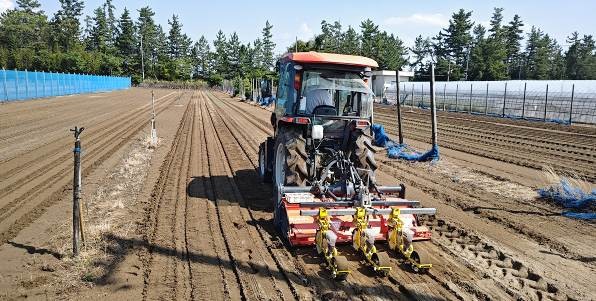 福井県(秋冬だいこん)