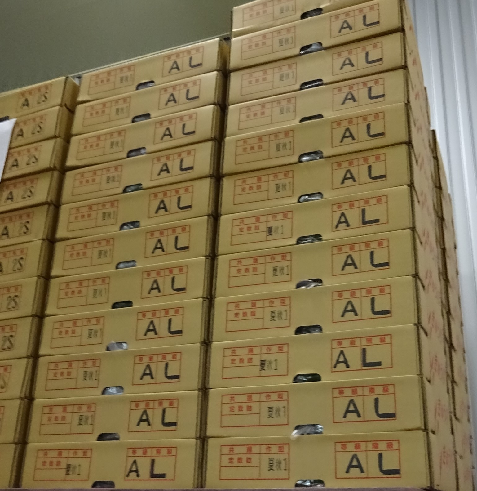 山形県(夏秋きゅうり)