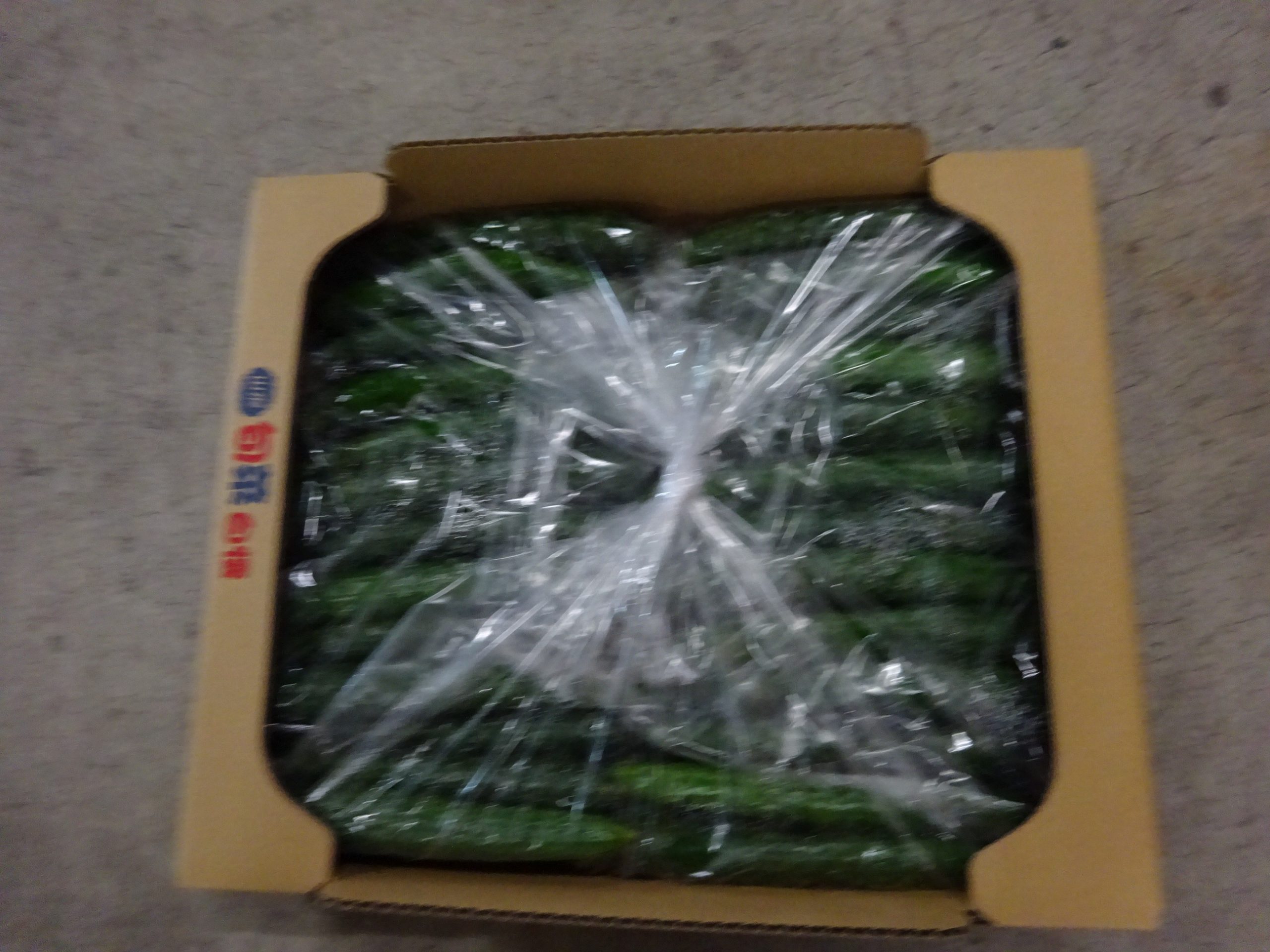 山形県(夏秋きゅうり)