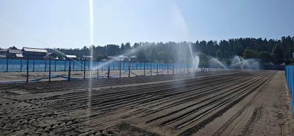 福井県(秋冬だいこん)