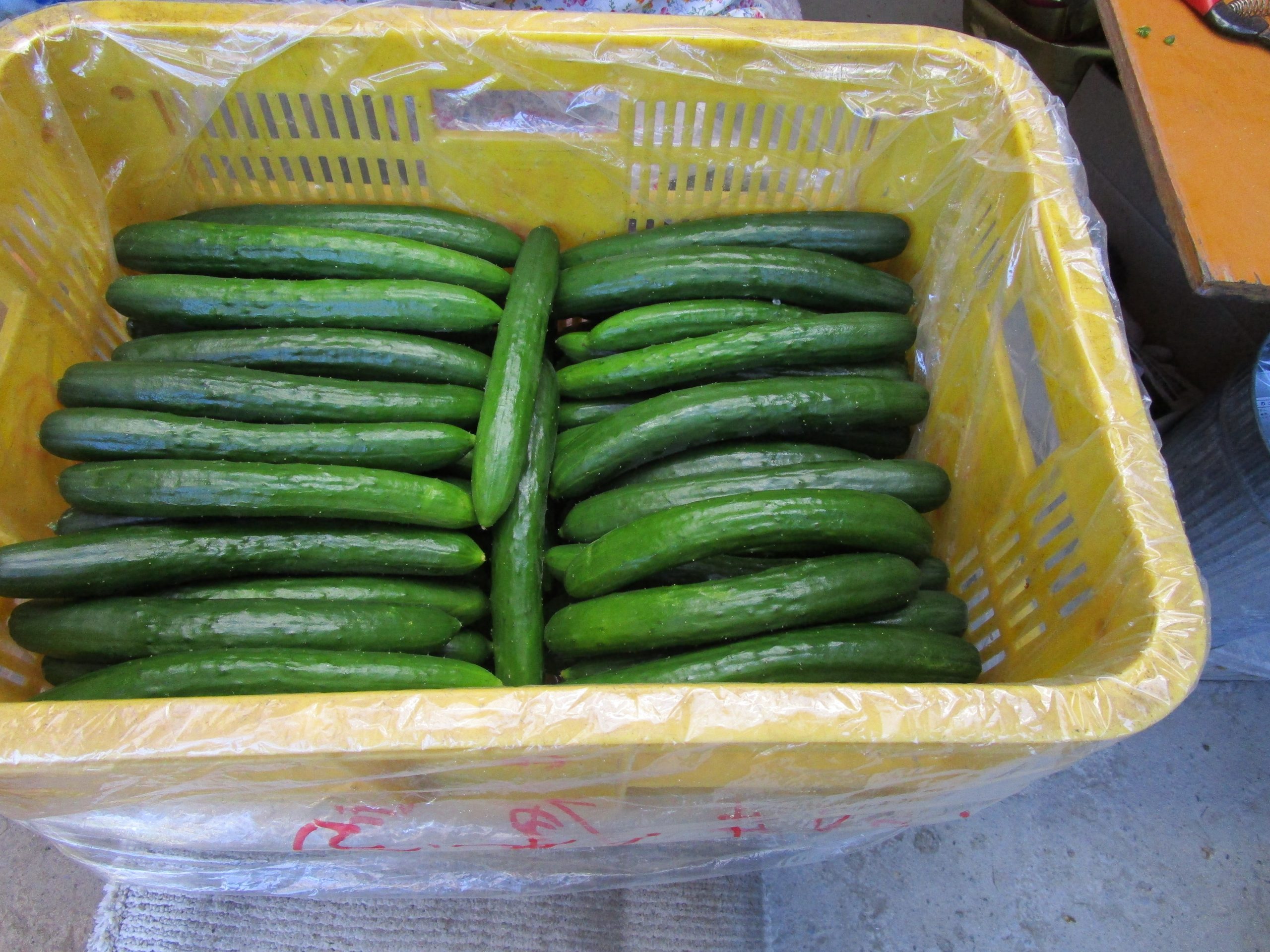 和歌山県(夏秋きゅうり)