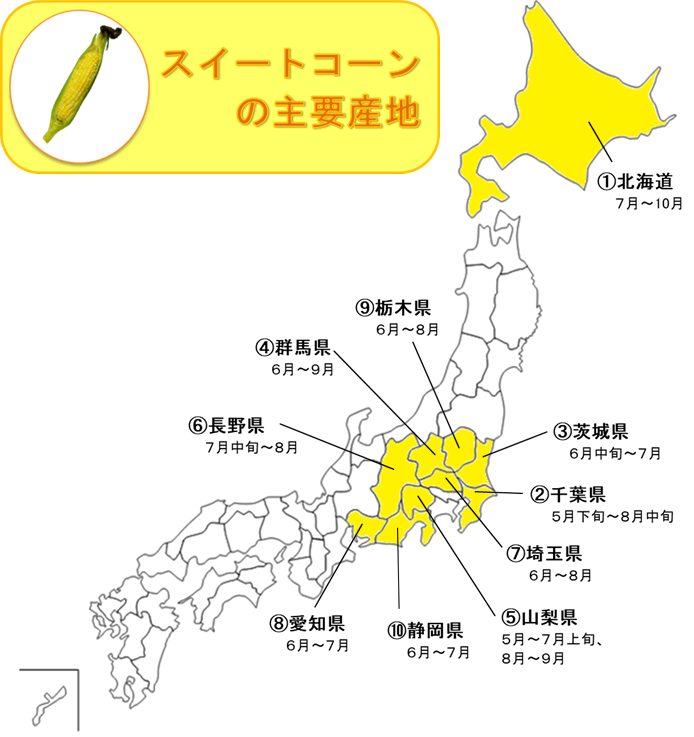 http://vegetan.alic.go.jp/ippan/18yasaimap/shuyousanti/sweetcorn/image10.jpg